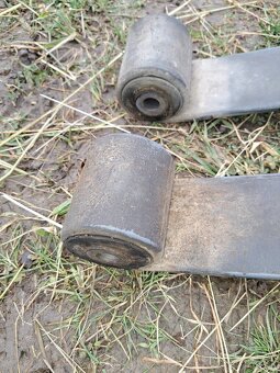 Master - listove pera - 3