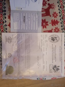 Nemecky ovciak PP vel - 3