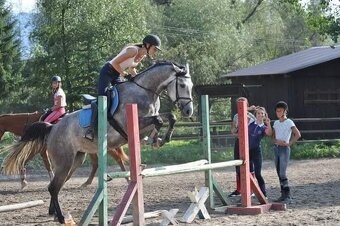 Predám žrebnú kobylu - 3