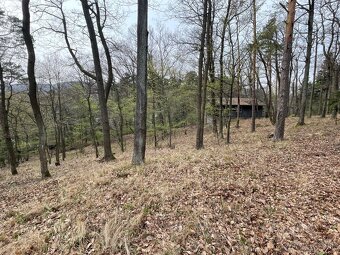 Pozemok na celoročne obývateľnú chatu, Modra Harmónia - 3