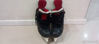 Korčule Bauer č.39 - 3