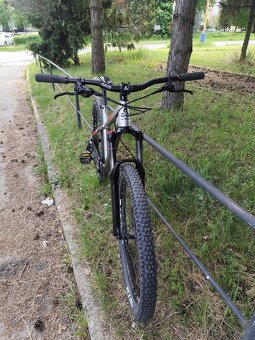 Ctm zephyr 2019 27.5" M - 3