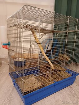 Predám Osmaka Degu  aj s príslušenstvom - 3