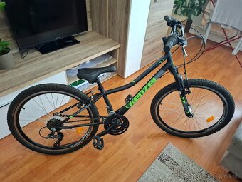 Kenzel Roxis 24 - 3