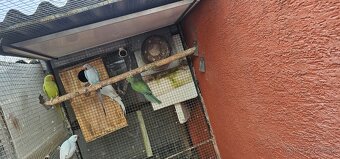 Predam alexander.maly 2023 - 3