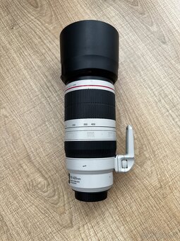 Canon EF 100-400mm f/4.5-5.6 L IS II USM - 3