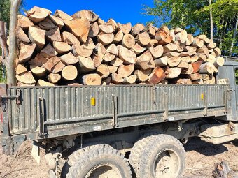 Palivové drevo - 3