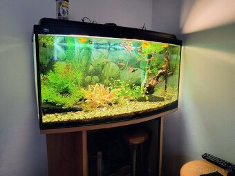 Predám staršie 100 L akvárium - 3