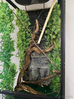 Predám terarium pre chameleona - 3