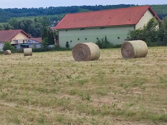 Prvá kosba krásne voňavé seno - 3