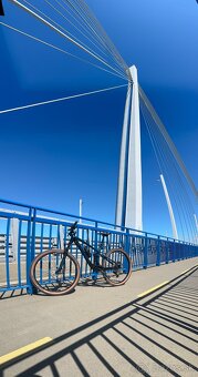 TREK Fuel EX 5 - 3