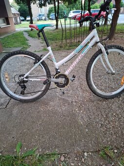Bicykel kenzel veľkosť 24 - 3