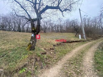 Pozemok na predaj v obci Vinné, okr. Michalovce - 3
