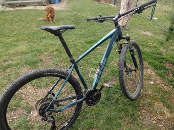 CTM Rambler 1.0 - 3