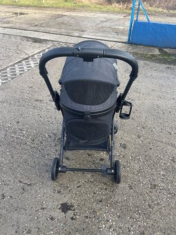 Kočik pre psika - 3