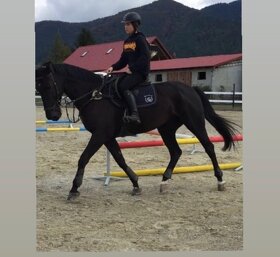 Vycvik koni, jazdcov - 3