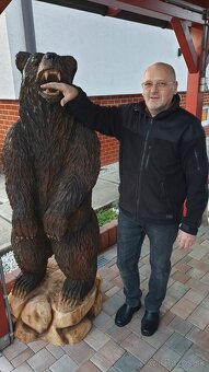 Nádherný medveď vyrezávaný umelcom - 3