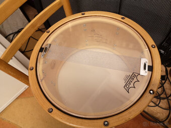 Snare Hallwad - 3
