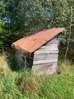 Kurnik, zajacinec - 3