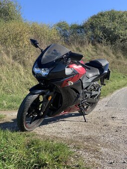 Kawasaki Ninja 250R - 3