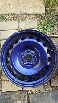 Pelechené disky 5x100 r16 - 3
