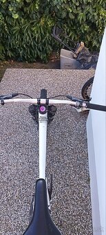 Specialized status 2 - 3