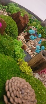 Machový obraz "Little Creatures" - 3