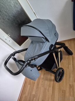 Kočík Roan iVI - 3