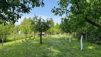 Predám chatu a pozemok Hamušad - 3