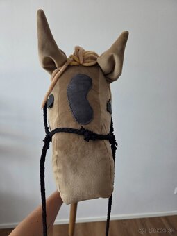 Hobby Horse - 3