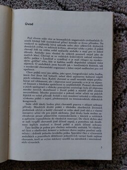 Chováme andulky - Zdeněk Veger - 3