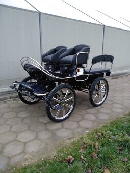 Konský koč-kočiar-brička - 3