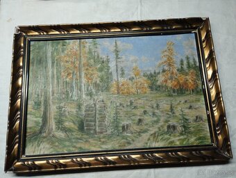 Obrazy rezervované - 3