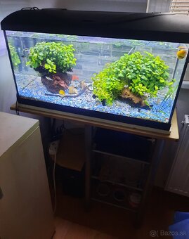 Akvárium 120 l komplet zabehnuté.✅️ - 3