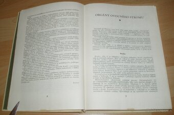 Štepenie, očkovanie a preštepovanie drevín - 3