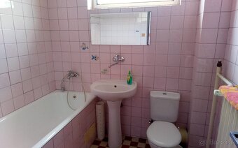 Prenajmem starší rodinný dom - 3