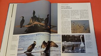 Morský breh-prírodovedná publikácia,Larousse,100% stav% - 3