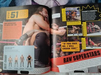 WWE kniha - 3