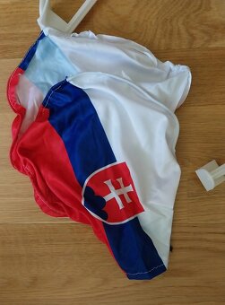 PRE FANÚŠIKOV HOKEJA - NÁVLEKY NA ZRKADLO + SLOVENSKÁ VLAJKA - 3