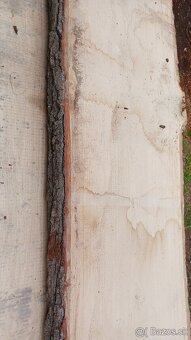 Dubove drevo forsne - 3