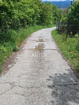 Na predaj: záhrada v atraktívnej lokalite Nové Mesto nad Váh - 3