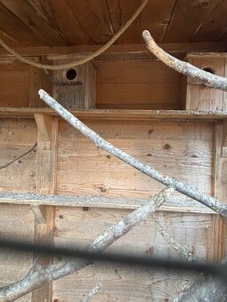 Voliera pre vtáky - 3