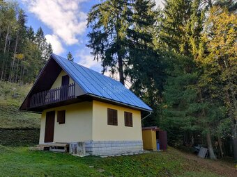 Predaj: Chatka s veľkým pozemkom vo Veľkom Rovnom (MO) - 3