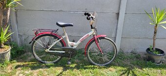 Detský bycikel 22 batavus - 3