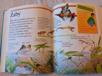 Detska ilustrovana encyklopédia - 3