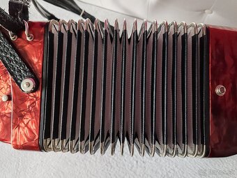 Predam akordeon Delicia Arnaldo 72 bas. - 3
