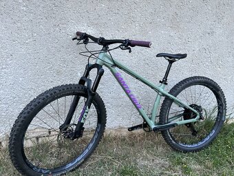 Santa Cruz Chameleon S - 3