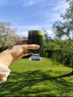 ZELENÉ POTRAVINY CHLORELLA/ZELENÝ JAČMEŇ GREEN WAYS - 3