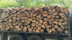 Palivové drevo s dovozom - 3