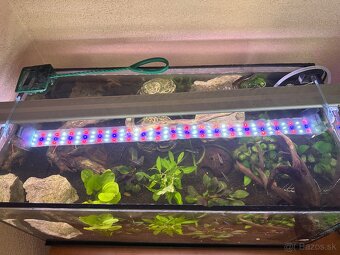 Akvárium 60 + sinkor Led svetlo - 3